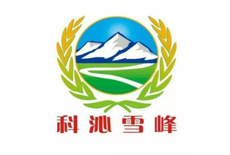 pp电子(中国)官方网站