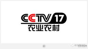 pp电子(中国)官方网站