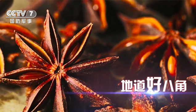 pp电子(中国)官方网站