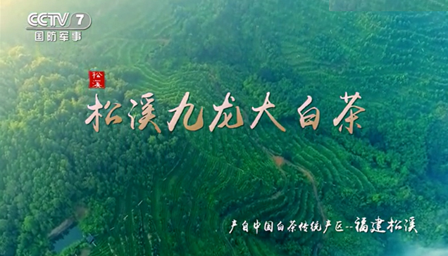 pp电子(中国)官方网站
