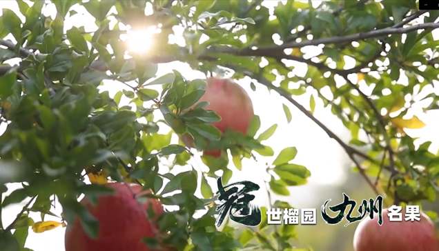 pp电子(中国)官方网站